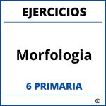 Ejercicios Morfologia 6 Primaria PDF
