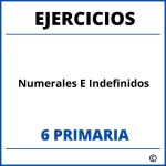 Ejercicios Numerales E Indefinidos 6 Primaria PDF